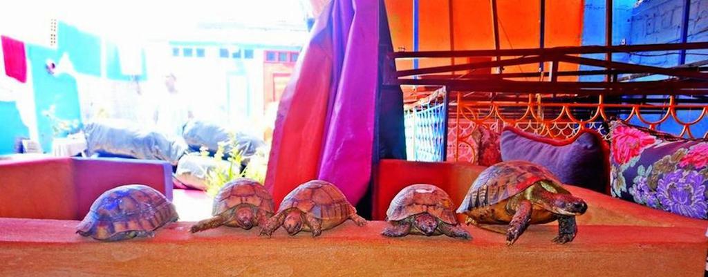 Rainbow Marrakech Pensjonat Marrakesz Zewnętrze zdjęcie